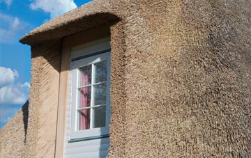 Asterley thatch roof disadvantages